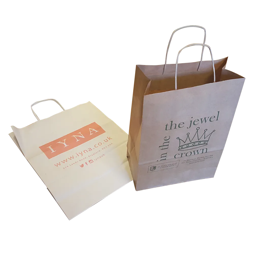 10" x 12" Twist Paper Bags - Unprinted sample