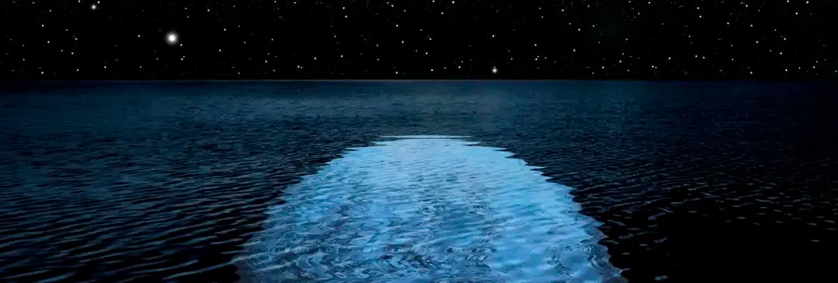 A Blue Moon Rising Over A Calm Ocean Wall Art