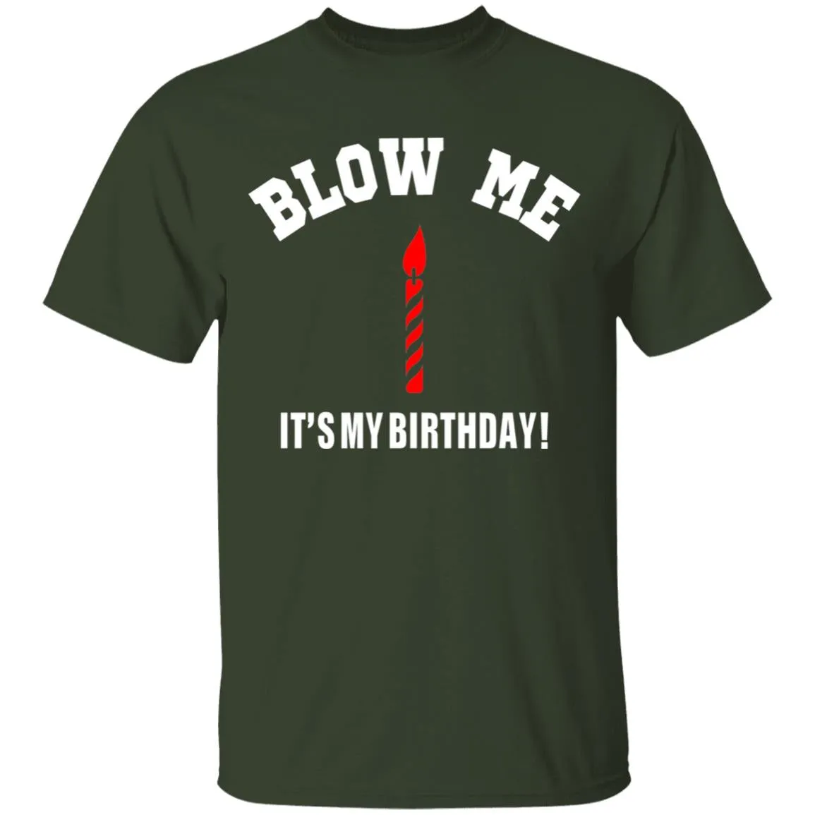 Blow Me It's My Birthday T-Shirt