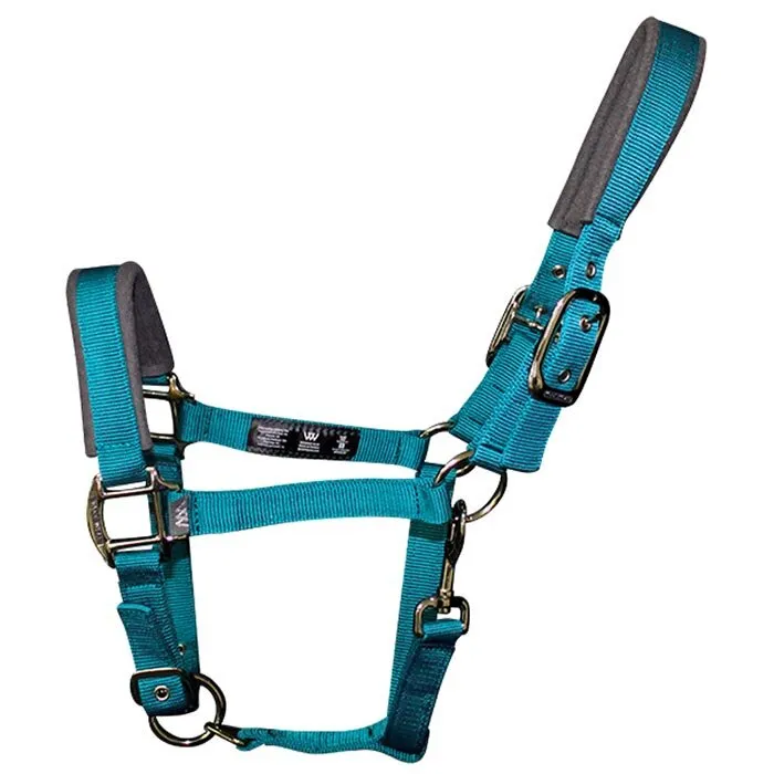 Woof Wear Head Collar and Lead Rope Set - Ocean